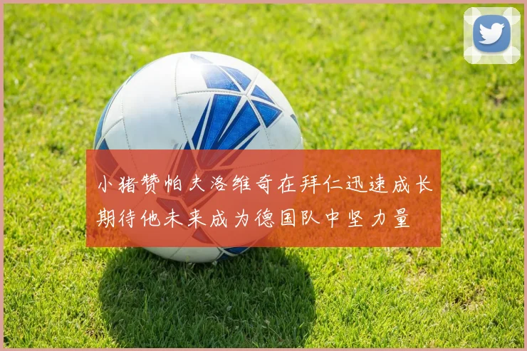 小猪赞帕夫洛维奇在拜仁迅速成长期待他未来成为德国队中坚力量